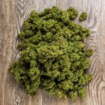 In the UK, the world of CBD is evolving fast. Customers want products that are effective, safe, and fully compliant with regulations. HempHash has stepped forward as a brand that bridges these needs, offering CBD hash, hemp flower, and extracts that are not only high in quality but also rigorously tested. The brand’s journey begins with certified industrial hemp and ends with discreet delivery at your doorstep, ensuring every stage meets the highest standards.