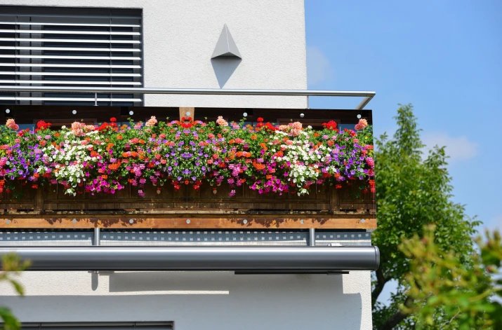 Balkon z bujną kompozycją kwiatów w odcieniach różu, fioletu, białego i czerwonego na drewnianej podstawie.
